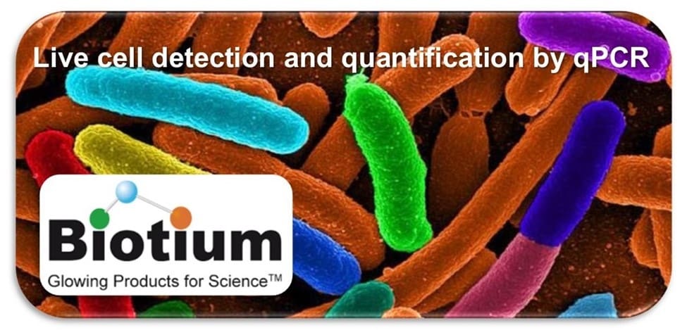 Live cell detection vPCR