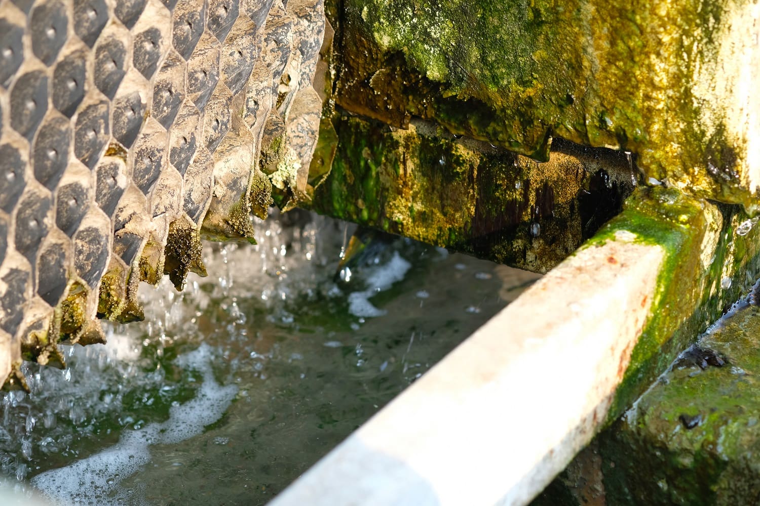 Cooling Tower Legionella Testing