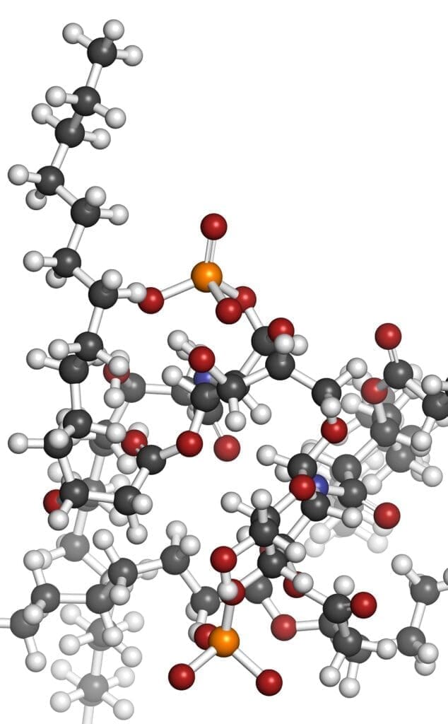 What are Endotoxins?