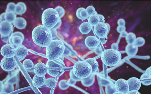 waterborne pathogen testing