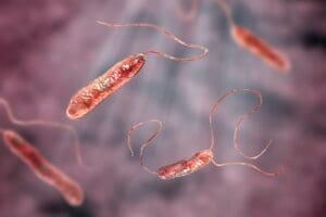 Stenotrophomonas maltophilia outbreak