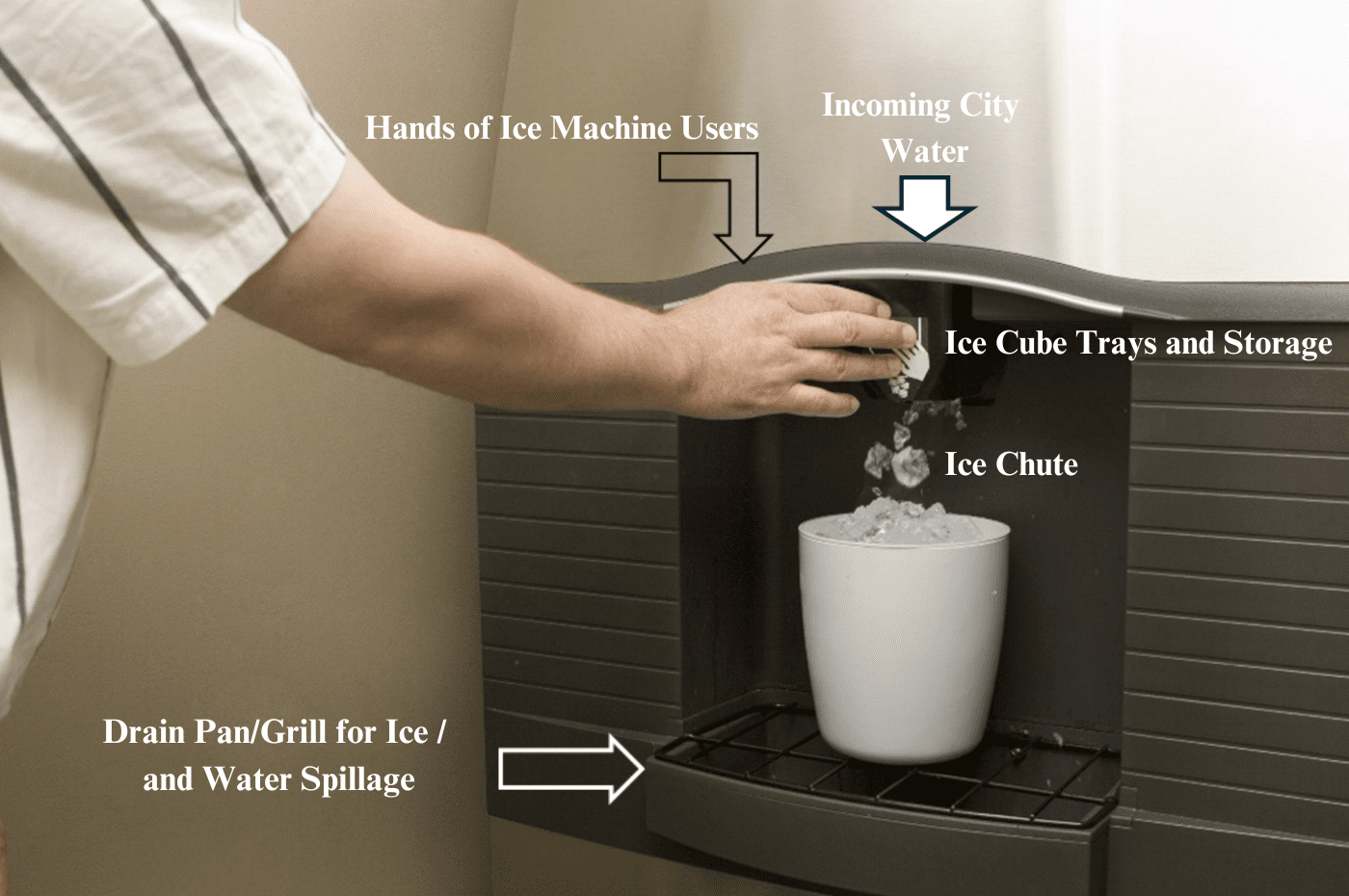 Ice Machine Legionella and Microbiology Testing